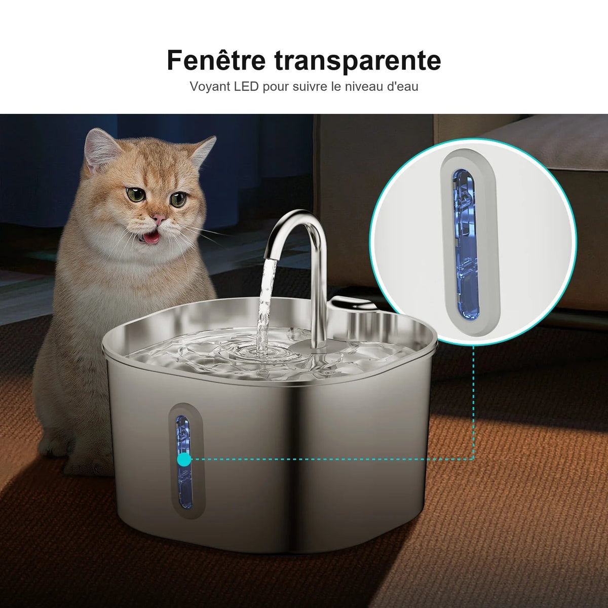 Fontaine à eau Noä inox 2,2 L pour chat
