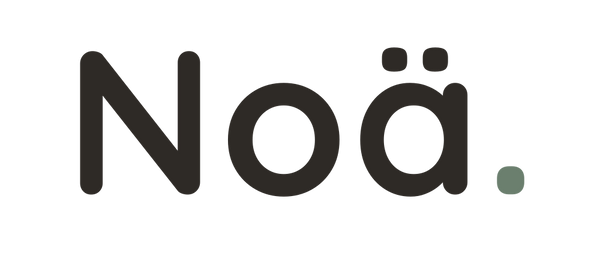 noa_logo_header